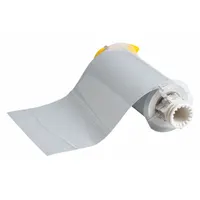 Continuous Label Stock: 7 in x 33 ft, Polyester, Silver (Gloss), Indoor/Outdoor (MPN 13585)