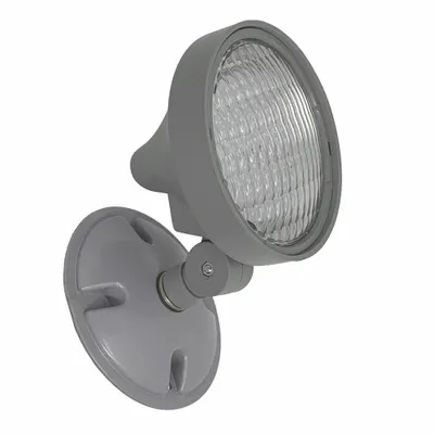 BIG BEAM Wet Location Remote Head: LED, Plastic, Ceiling/End/Wall, 5 W Lamp Watt - Plastic Wet Location Remote Heads