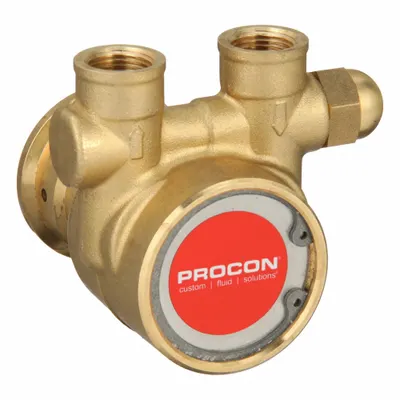 PROCON Rotary Vane Pump: Direct Drive, Brass Body, 1/2" NPT, 100 gph Max. Flow - C-Face Mount Rotary Vane Pump Heads