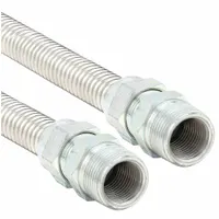 Gas Connector: 1/2 in Hose Inside Dia., 24 in Hose Lg, 150,000 BTU Capacity, Silver, FNPT x FNPT (MPN 30-4141-24)