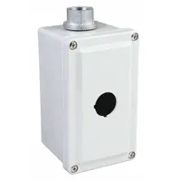 SCHNEIDER ELECTRIC Push Button Enclosure: 30mm, 1 Holes, Non-Metallic, NEMA 1/12/3/4/4X (MPN 9001SKY1)