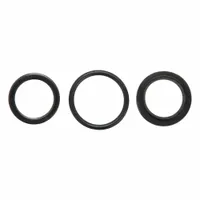 MILLER FLUID POWER Seal Kit: For 1 in Bore Dia., For 1/4 in Groove Wd, Nitrile, 90 D, Black (MPN HV3-RK210-100)