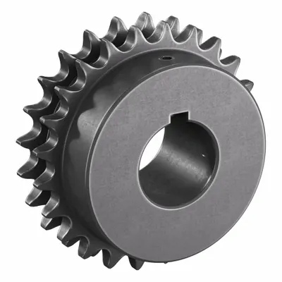 TRITAN Roller Chain Sprocket: 40-2, For 1/2 in Chain Pitch, 1 3/8 in Bore Dia - Size 40-2 Fixed-Bore Roller Chain Sprockets