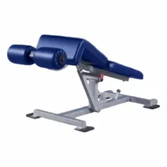 Vinyl-upholstered decline bench for strength training, targeting lower chest and core exercises. Overall dimensions: 32 in height, 22 in width, 49 in length. Suitable for use in gyms, fitness centers, and hospitality settings.