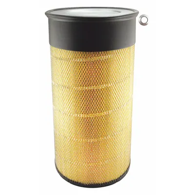 BALDWIN FILTERS Round/Oval Engine Air Filter PA2456XP - Round/Oval Engine Air Filters