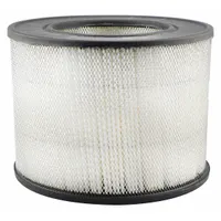 BALDWIN FILTERS Automotive Air Filter: Round-Oval, Engine, Round, Axial Seal, 5 1/2 in Overall Ht (MPN PA2156)