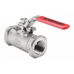 One-piece straight ball valve with 316 stainless steel body and FNPT threaded ends. Features a locking lever handle for secure on/off flow control. Suitable for industrial piping systems handling corrosive or high-purity fluids.