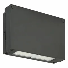 Full-size wall pack with anti-glare design, delivering 2,900 lumens at 4000K with 24 W and Type IV distribution. Operates on 120 to 277V AC. Overall height 8 1/8 in. Suitable for outdoor perimeter lighting on building exteriors, parking lots, and walkways.