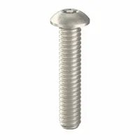 Tamper Resistant Screw: 1/4"-20 Thread Size, 1 1/4 in Lg, Stainless Steel, Plain, Button, 25 PK (MPN 91273)