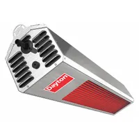 DAYTON Gas Infrared Patio Heater: Natural Gas, 34,000 BtuH Heating Capacity Input, 8 x 8 ft, Silver