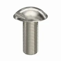 Machine Screw: M10x1.50 Thread Size, 25 mm Lg, Truss Head, Spanner, 316, Stainless Steel, Plain (MPN K1329.10X25)