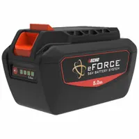 Battery: 5 Ah Battery Capacity, eFORCE®, 1 Batteries Included, 1 Chargers Included, 56V DC (MPN LBP-56V250A)