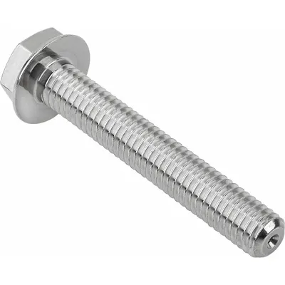 KIPP Hygienic Flanged Hex Head Screw M16 x 45 mm Grade 316L Fully Threaded - Hygienic Flanged Hex Head Screws