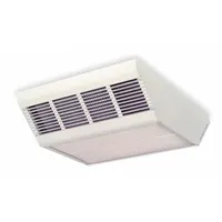 DAYTON Surface-Mount Electric Ceiling Heater: Fan Forced, 2000W/3000W/4000W Watt Output, Gray (MPN 2YU38)