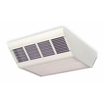 Dayton Surface-Mount Electric Ceiling Heater: Fan Forced, 2000W/3000W/4000W Watt Output - Surface-Mount Electric Ceiling Heaters