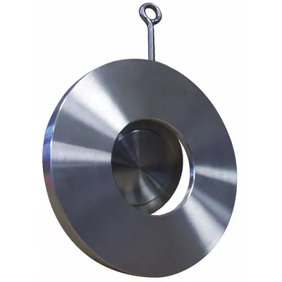 CHAMPION Check Valve: Swing, Inline Valve Body, 2 in Pipe Size, Flange, 316 Stainless Steel - 316 Stainless Steel Wafer Spring-Loaded Swing Check Valves