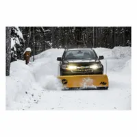 FISHER Snow Plow Blade: Compact Plow, Steel, Straight, 80 in Overall Wd, 23 1/2 in Overall Ht, 85280
