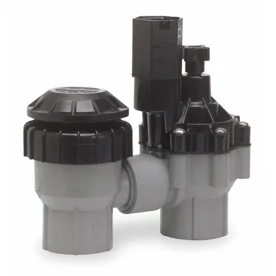 RAIN BIRD Anti-siphon Valve: 150 psi Max Working Pressure, 1" FNPT, 6 in Ht, 3 in Wd - Sprinkler Valves