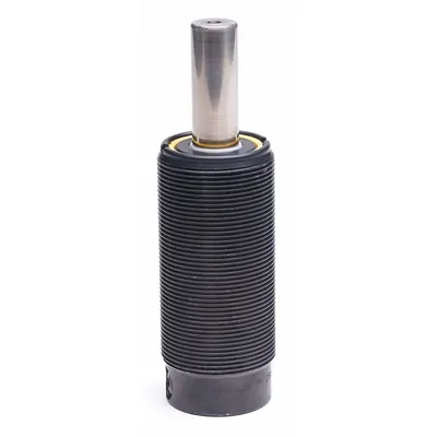 RAYMOND Gas Spring: M38x1.5 Thread Size, 3 29/32 in Ext Lg, 765 lbf Force - Gas Springs