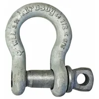 CROSBY Anchor Shackle: Anchor Shackle, 6,600 lb Working Load Limit, 13/16 in Wd Between Eyes, Silver (MPN 1017494)