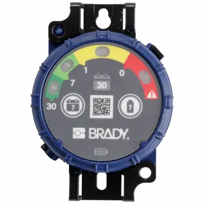 BRADY Inspection Timer, 30-Day Intervals, 10 PK, 150741 - Inspection Timers
