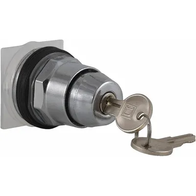 SCHNEIDER Keyed Selector Switch: 2 Position, 30 mm Panel Mounting Size - Panel-Mounted Key Switches without Contacts