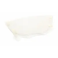 Protection Film: SR 580, SR 580, Clear, PET, 10 PK (MPN SR 582)