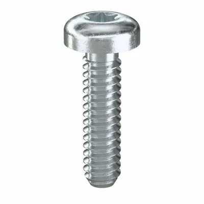 TAMPER-PRUF SCREW Machine Screw: #10-24 Thread Size, 3/4 in Lg, Steel, Zinc-Plated, Pan, Torx/Star - Pan Head Machine Screws