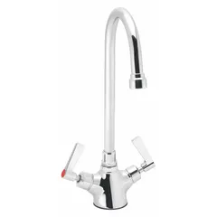 Single-post laboratory faucet with chrome finish, designed for cold and hot water supply. Features two lever handles for independent flow control and NPSM inlet connection. Suitable for use in laboratories, hospitals, and industrial facilities requiring reliable water dispensing.