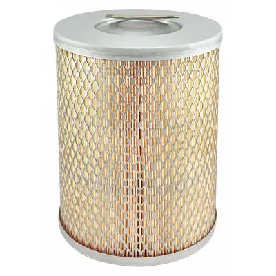BALDWIN FILTERS Round/Oval Engine Air Filter PA2422 - Round/Oval Engine Air Filters