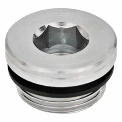 Steel threaded plug with NBR seal for closing and sealing threaded ports in hydraulic and pneumatic systems. Features M27x2 metric fine thread and internal hex drive. Prevents fluid leakage and contamination.