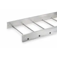 Aluminum straight section cable ladder, 24 inches wide, 5 1/4 inches high, 12 feet long, rated for 75 lb load. Includes splice plates and hardware. Complies with NEMA VE-1 standards. Used to support and route electrical cables in cable tray systems