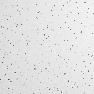 ARMSTRONG 1715B Clean Room Ceiling Tile - ISO-Rated Tiles for Cleanrooms