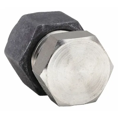 PARKER Compression Fitting Cap: 1/4 in OD Fitting Size, Compression - Single-Ferrule Stainless Steel Fittings