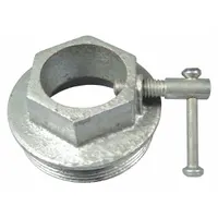 WESTWARD Bung Adapter: Bung Adapter, TBD, TBD, TBD (MPN TTGNBDN01SLVG)