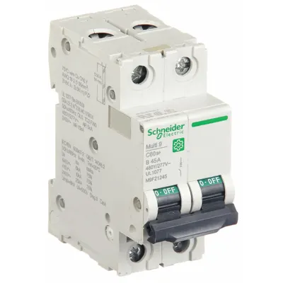 SCHNEIDER Supplementary Protector: 45 A Amps, 10kA at 240V AC, Screw Clamp, C60SP - B-Curve, 2-Pole UL1077 DIN Rail-Mount Supplementary Protectors