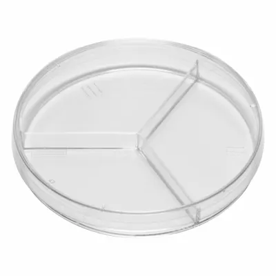 QORPAK Petri Dish: 99.82 mm Dia, 14.99 mm Overall Ht, No Surface Treatment, (3) Compartments - Petri Dishes
