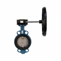 Concentric wafer butterfly valve with ductile iron body, stainless steel disc, and Buna-N seat. Gear-operated handwheel for precise throttling or on-off control. Rated 250 psi CWP for general industrial water and process applications.