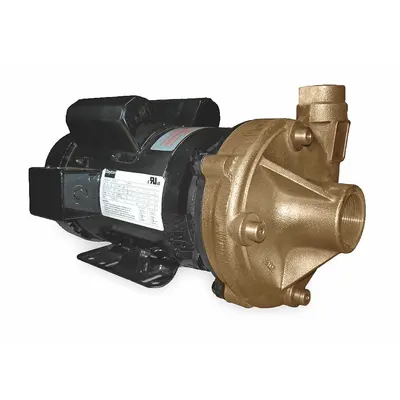 Dayton Centrifugal Pump: 3 hp, 230V AC, 130 ft Max Head, 1 1/2 in - 2 to 3 HP Straight Centrifugal Pumps