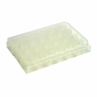 CAPLUGS 24-Well Microplates: Non-Sterile, 24 Wells, 3.5 mL, 85 mm Dia, Square - Multiple Well Plates