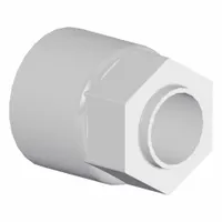 SMC High Purity Nut: 3/4 in OD Size, Compression, PFA (MPN LQ3-5N19)