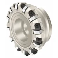 WALTER Indexable Face Mill: F4045.B32.100.Z12.06 (MPN 5873944)