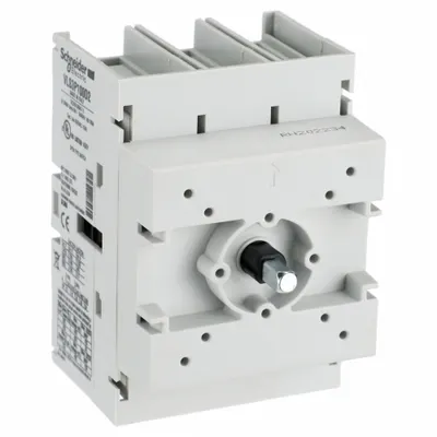 SCHNEIDER Disconnect Switch: 100 A Current Rating - Disconnect Switch Bodies
