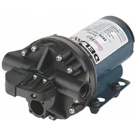 DELAVAN AG PUMPS Diaphragm Pump: Electric, 5825A-101-SB-HS, Demand Pressure Switch, Polypropylene