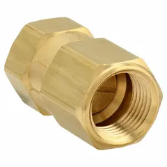 This brass poppet check valve features an inline valve body with 1/2 in FNPT x FNPT connections. It is designed to prevent backflow in piping systems handling water, air, or light oil.