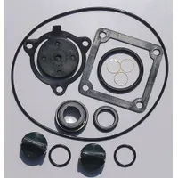 APPROVED VENDOR Seal Kit: Mfr Part # 24D047, Dayton