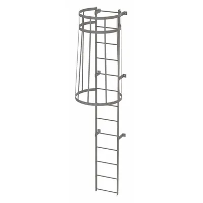 TRI-ARC Fixed Ladder with Safety Cage: 12 ft Overall Ht, 18 in Overall Wd, Steel - Safety Cage Fixed Ladders
