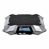 UEI TEST INSTRUMENTS Charging Scale: 110 lb Max, Built-In Display, UEi HUB, 0.1 oz Resolution (MPN WRS110)