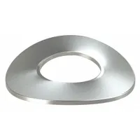 Curved Disc Spring: 0.2 in I.D., 0.42 in O.D., 301 Stainless Steel, 25 PK (MPN U1900113S)