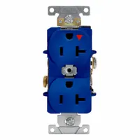 LEVITON Isolated Ground Duplex Receptacle Outlet: Duplex, 5-20, Blue, 125V AC, 20 A, 2 Pole / 3 Wire (MPN 5362-BIG)